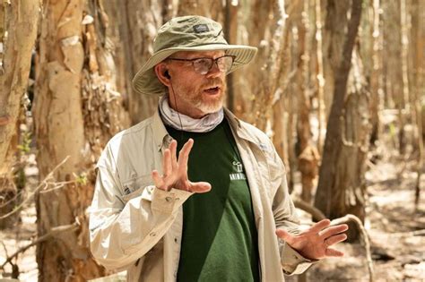  The Bleeding Tree : Un racconto folcloristico turco che esplora il potere della compassione e il peso del perdono!